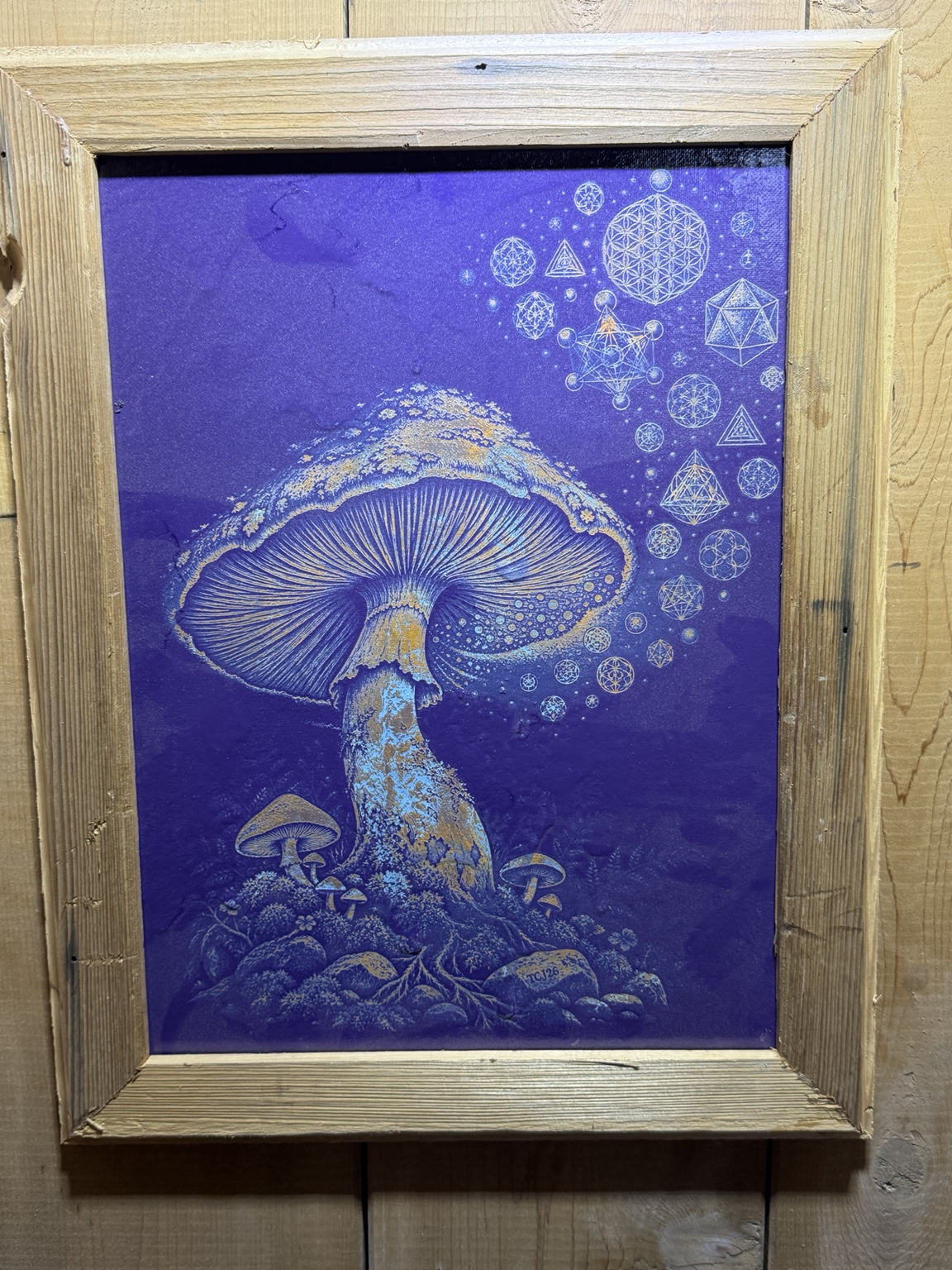 The Geometry of Growth — 12 × 16 inch framed original